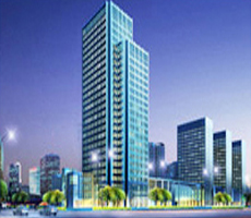 Bombay Stock Exchange Listed Companies